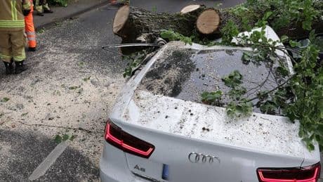 Feuerwehrkran im Einsatz: Baum stürzt auf fahrende Autos – lange Staus in Düsseldorf