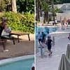 And they're off! Hilarious moment Brits on holiday race each other to reserve sunbeds in Magaluf the second resort's pool opens