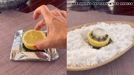 Adiós a los mosquitos en cenas de verano con este remedio casero que también decora tu terraza
