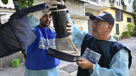 Morti per il virus del Nilo. Le vittime salgono a tre