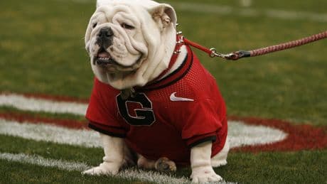 BetMGM bonus code POSTBET for $1,500 in bonus bets for the 2025 college football season