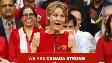 Who is Diana Fox Carney? What to know about the wife of Canada's PM