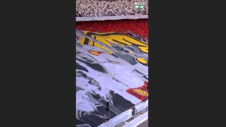 Wow, Stuttgart! - Gänsehaut-Choreo für Trikot-Tradition
