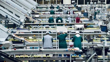 La industria alimentaria está viviendo su mayor bajada de precios desde 2014. Hay un sospechoso claro: las marcas blancas
