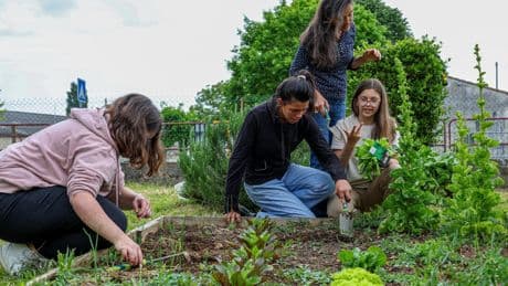 Désespoir face à la crise écologique : comment ne pas devenir des « doomers » ?