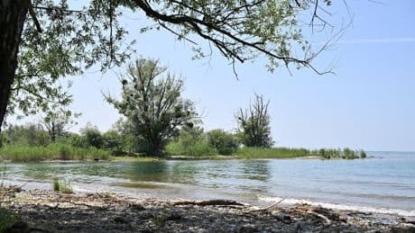 Naturschützer sind in Sorge - Zoff um FKK-Strand am Bodensee