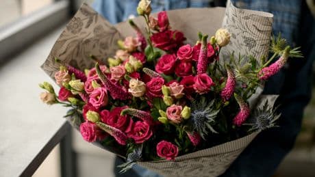 Frühling: Simpler Trick hält Schnittblumen fast ewig frisch
