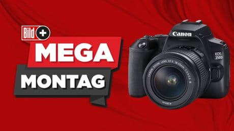 MEGA MONTAG bei BILDplus - Mit diesem Gewinn sehen Sie auf jedem Foto gut aus!