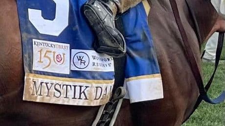 Stephen Foster Tops Charts On Closing Weekend At Churchill Downs