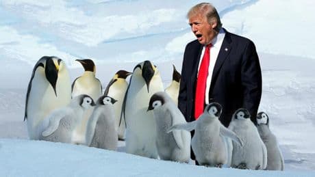 USA: Strafzölle für Pinguine und ein goldenes Visum: 100 Schlagzeilen aus Donald Trumps ersten 100 Tagen