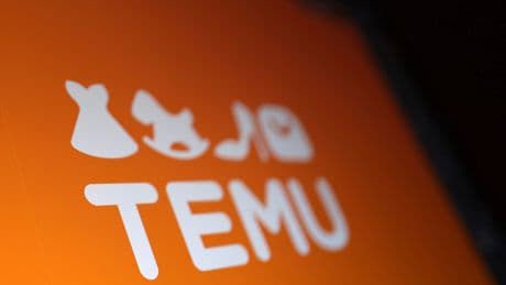 Temu owner’s shares drop as profits are cut in half by Trump tariffs — CEO blames ‘radical change’