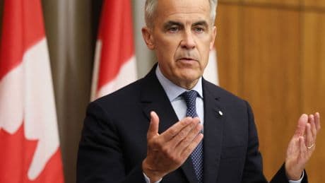 'Dangerous and premature': Canada's Jewish advocacy groups decry Carney's Palestinian announcement