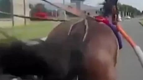 Chaos at funeral procession as horse crashes head first into car