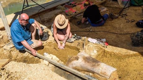«Un gisement hors norme» : Angeac-Charente, 400 âmes et un gigantesque cimetière de dinosaures