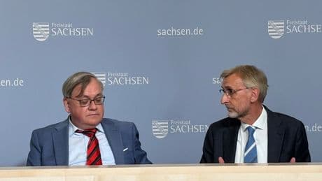 Verfassungsschützer beobachten - AfD tarnt sich wie ein „Wolf im Schafspelz“