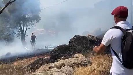 Ayvalık'ta orman yangını