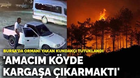 Bursa'da ormanı yakan kundakçı tutuklandı! 'Amacım köyde kargaşa çıkarmaktı'