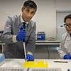 Breakthrough British prostate cancer test could avoid need for biopsies in 80pc of men