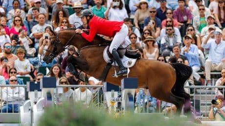 Reitsport: EM-Gold für Springreiter Vogel: "Ich bin überglücklich"