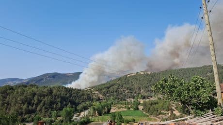 Bursa-Balıkesir sınırında orman yangını