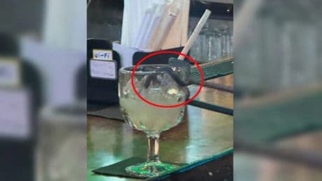 Una serpiente caída del techo, el ingrediente sorpresa de un cóctel margarita