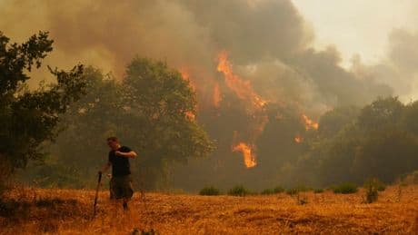 Is it safe to travel to Zante? Latest Greece travel advice amid raging wildfires