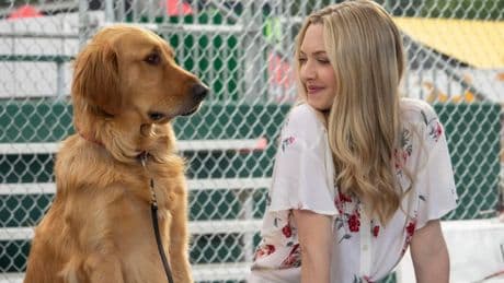 Film hailed as ‘perfect’ races up the Netflix charts