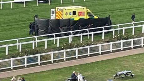 Jockey Sam James rushed to hospital as horse dies in horror incident at Ascot