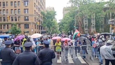 Pro-Palestine protestors erupt outside Met Gala 2025 moments before stars hit red carpet
