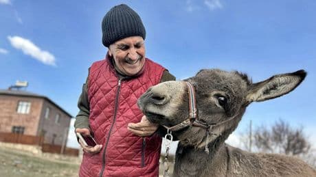 Eşek sayısı alarm veriyor: Nedeni kaçak et artışı olabilir mi? Kırmızı et fiyatları yükselirken eşek sayısı aynı hızda düşüyor