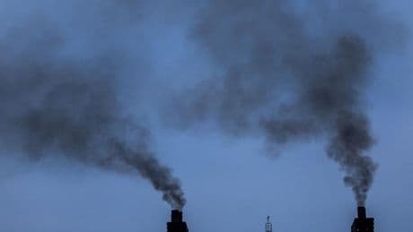 Klima: CO2-Emissionen von Containerschiffen sind gestiegen