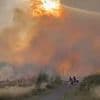 Residents are being evacuated as eight-hectare wildfire rages in east London
