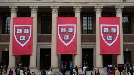 Harvard vs. US-Regierung: Was hat Krebsforschung mit Antisemitismus zu tun?