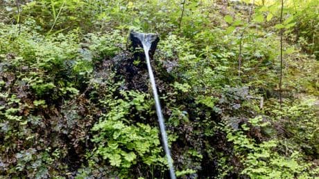 Barcelona restaurará y recuperará 13 fuentes naturales de Collserola