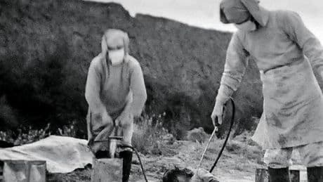 Au Japon, des archives révèlent l’ampleur d’expérimentations sur des humains entre 1938 et 1945