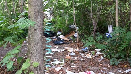 Mitten in der Hauptstadt - Der Junkie-Baum von Berlin