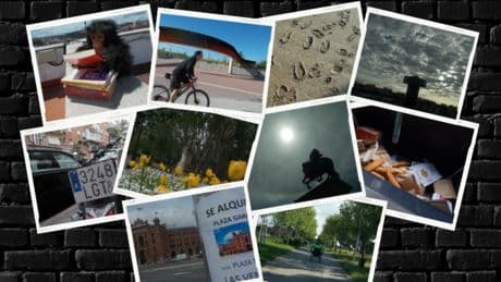 Del mono sabio al ciclista fisiocrómico