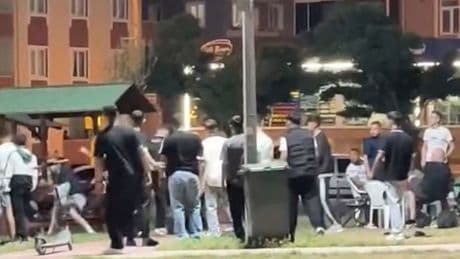 Gençler arasında parkta yumruklu kavga