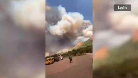España arde en un verano infernal y 10 días de horror: el fuego arrasa más del triple de la superficie forestal de 2024