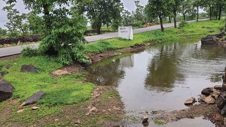 Indien: Forscher entdecken neue Tierart in einem Teich am Straßenrand