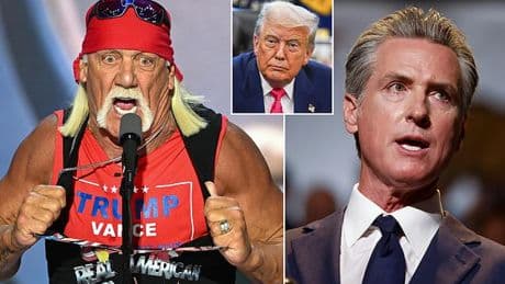 REVEALED: What Hulk Hogan really thought of Gavin Newsom after governor trolled Trump with meme of late WWE icon