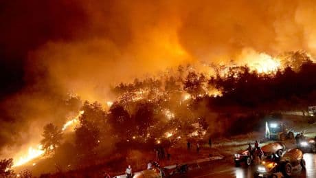 At least 17 killed in Turkey wildfires as thousands flee their homes
