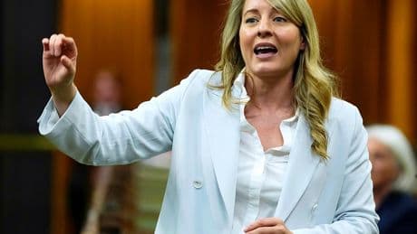 Internet service providers fear feds will side with CRTC on ruling boosting competitor access to fibre networks