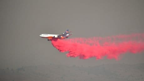 The largest wildfire in the US this year looks set to become a ‘megafire’ after covering nearly 100,000 acres
