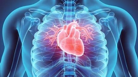 Infarto, al mattino presto rischio più alto: dopo il riposo notturno aumentano pressione e battiti