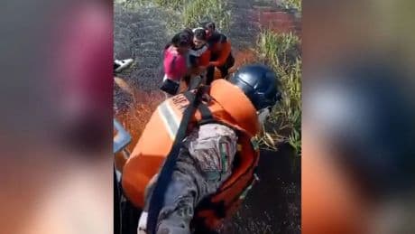 Cinco personas sobreviven tras un aterrizaje forzoso y 36 horas atrapados en un pantano infestado de caimanes