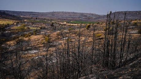 Mission im Ausland: Feuerwehrleute aus Hessen helfen in Frankreich