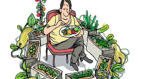 Le paradoxe végan : les adeptes se multiplient mais les restaurants ferment