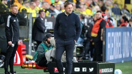 Fette Wolfsburg-Abfindung - So viel kassiert Hasenhüttl für seinen Rauswurf