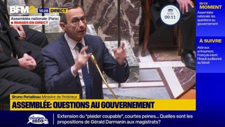 "Je n’ai pas l’indignation sélective": Bruno Retailleau répond à une députée PS sur la manifestation du Collectif du 9-Mai à Paris